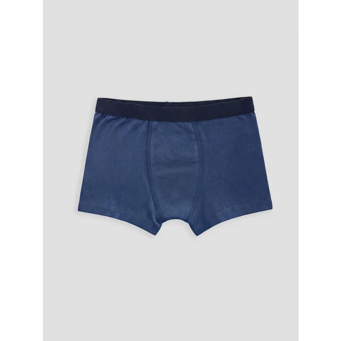 LCW Kids Mavi Erkek Çocuk 3lü Boxer