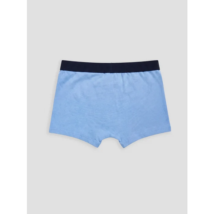 LCW Kids Mavi Erkek Çocuk 3lü Boxer