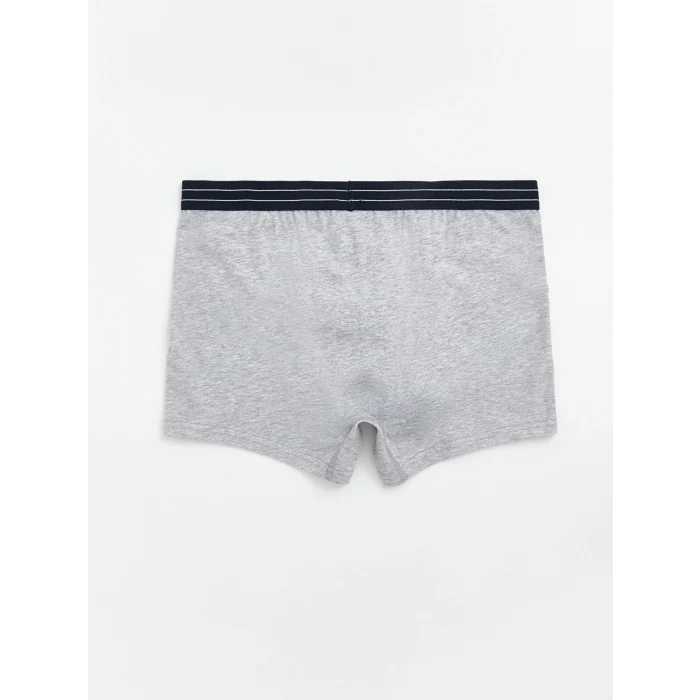 LC WAIKIKI Lacivert Standart Kalıp Pamuklu Esnek Erkek Boxer 5li