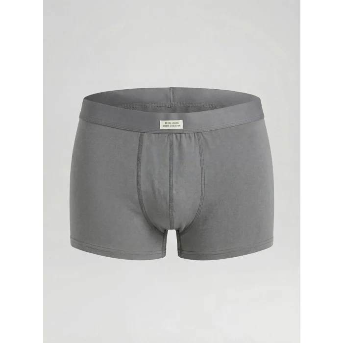 LC WAIKIKI Yeşil Standart Kalıp Pamuklu Esnek Erkek Boxer 3lü