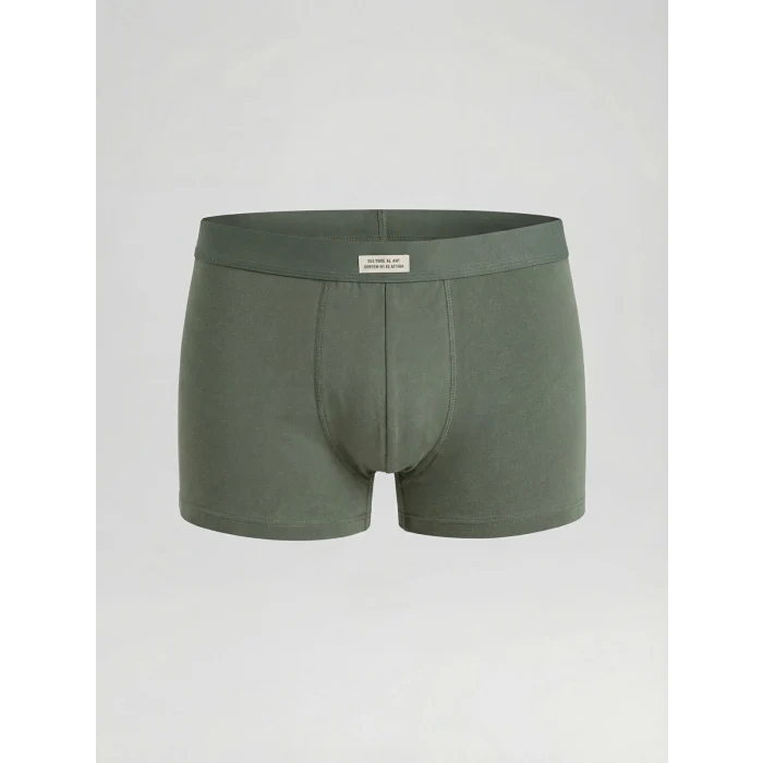 LC WAIKIKI Yeşil Standart Kalıp Pamuklu Esnek Erkek Boxer 3lü