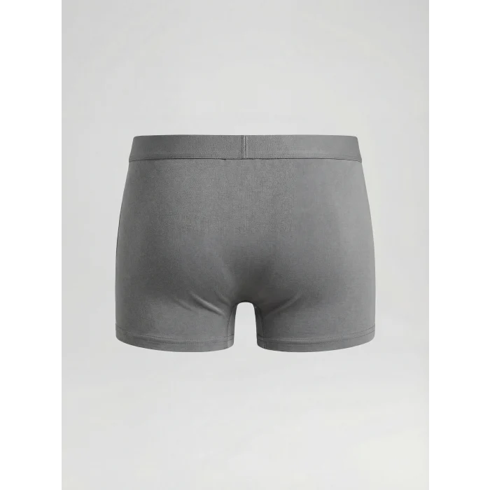 LC WAIKIKI Yeşil Standart Kalıp Pamuklu Esnek Erkek Boxer 3lü