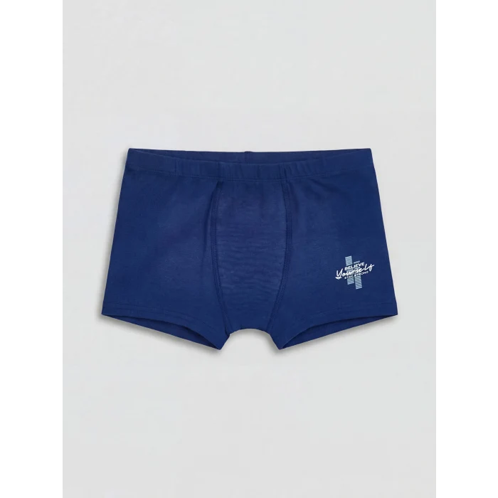 LCW Kids Mavi Beli Lastikli Erkek Çocuk 3lü Boxer