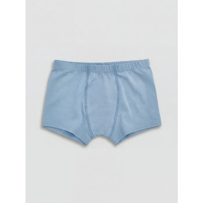 LCW Kids Mavi Beli Lastikli Erkek Çocuk 3lü Boxer
