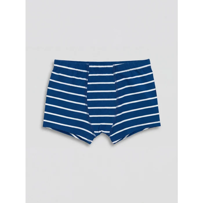 LCW Kids Mavi Beli Lastikli Erkek Çocuk 3lü Boxer