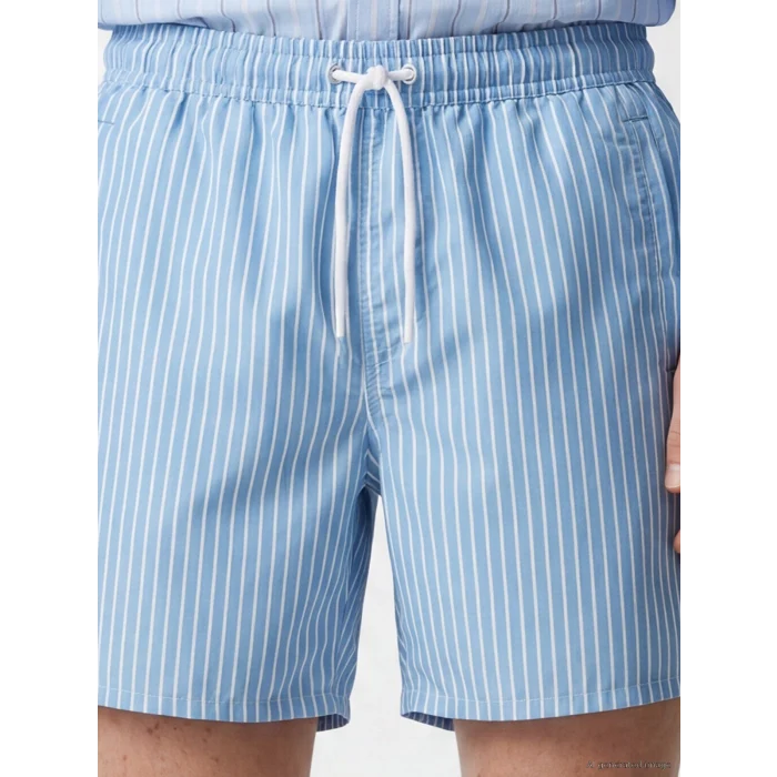 LCW SWIMWEAR Mavi Kısa Boy Çizgili Erkek Deniz Şortu