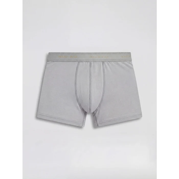 LC WAIKIKI Mavi Pamuklu Esnek Erkek Boxer 3lü