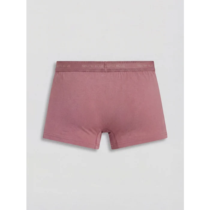 LC WAIKIKI Mavi Pamuklu Esnek Erkek Boxer 3lü