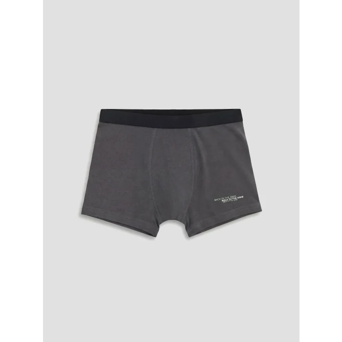 LCW Kids Gri Erkek Çocuk Boxer 3lü