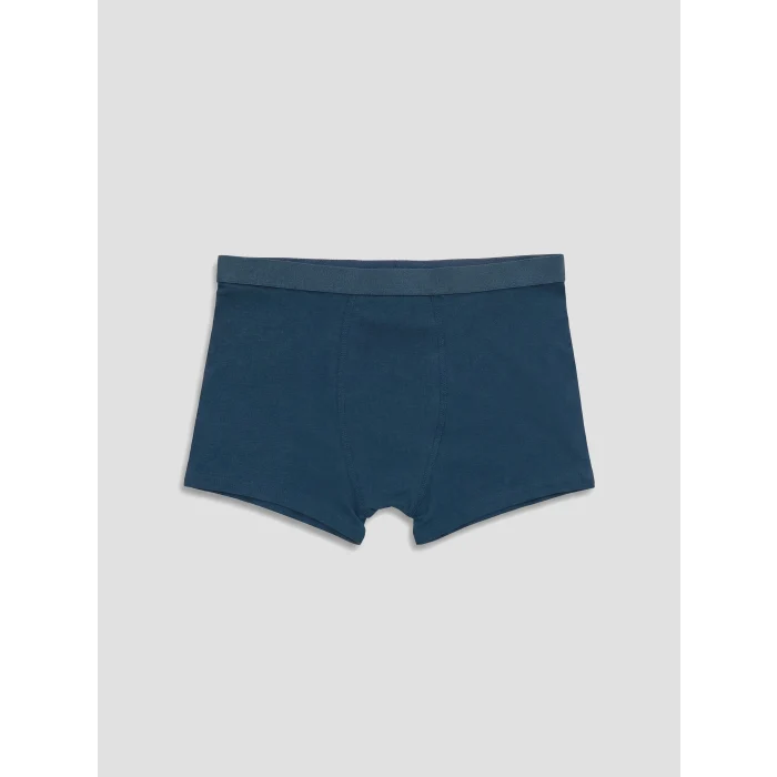 LCW Kids Lacivert Erkek Çocuk 5li Boxer