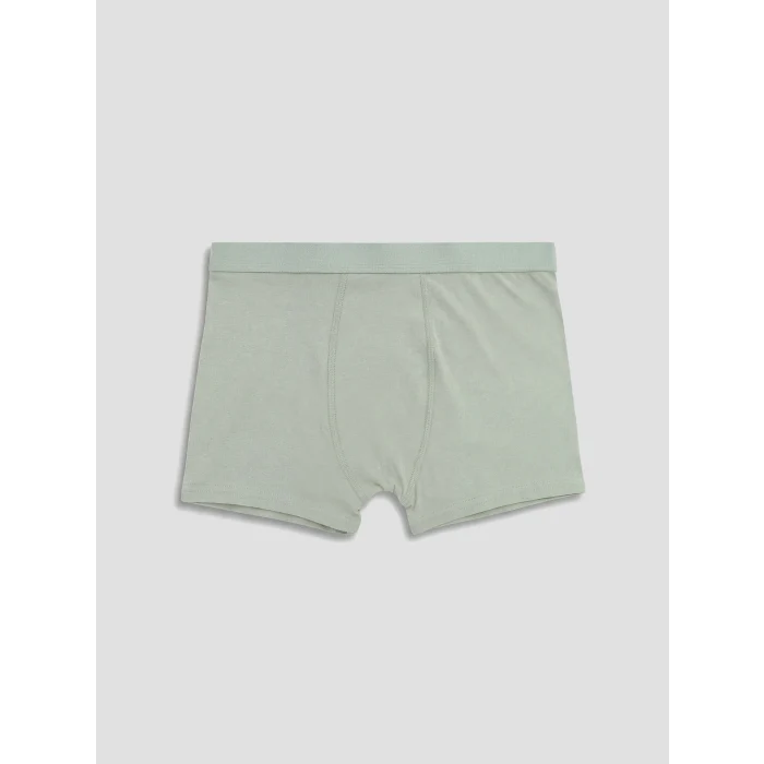 LCW Kids Lacivert Erkek Çocuk 5li Boxer