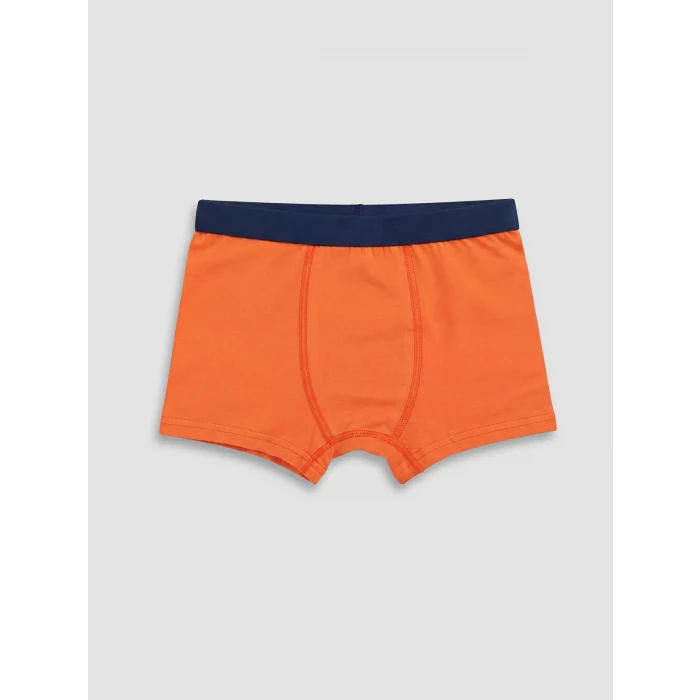LCW Kids Mavi Erkek Çocuk 3lü Boxer