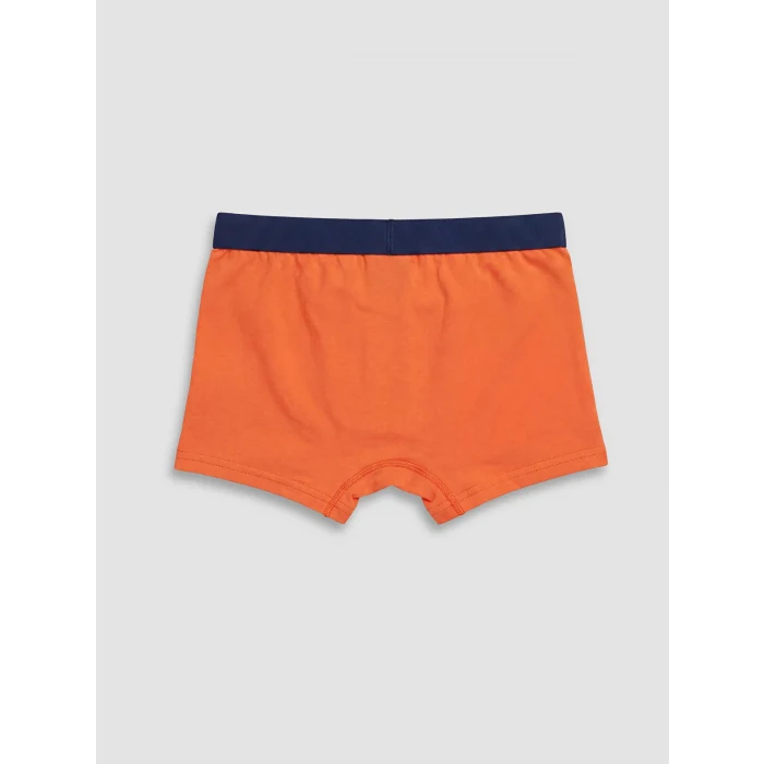 LCW Kids Mavi Erkek Çocuk 3lü Boxer