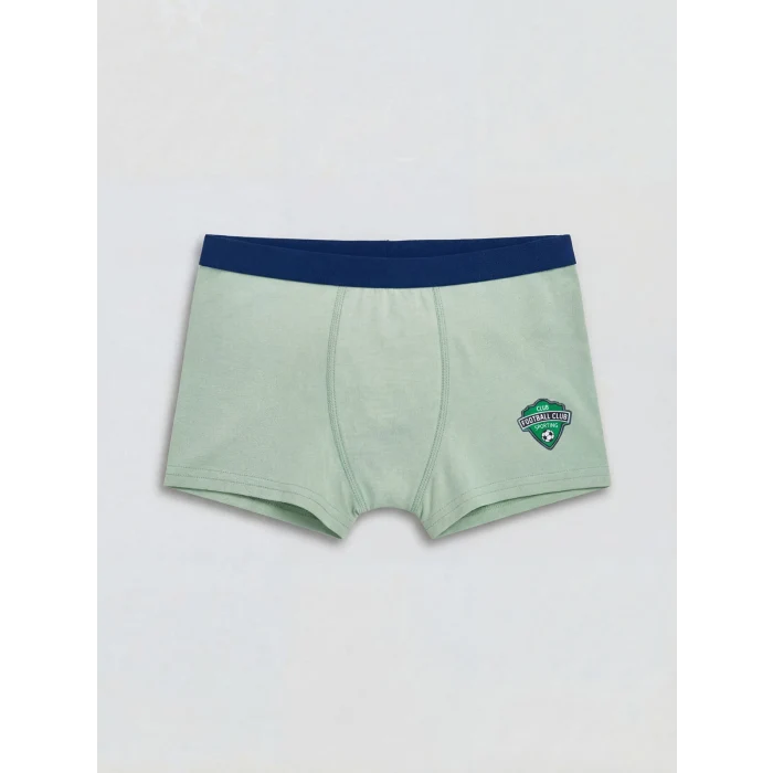 LCW Kids Yeşil Erkek Çocuk Boxer 3lü