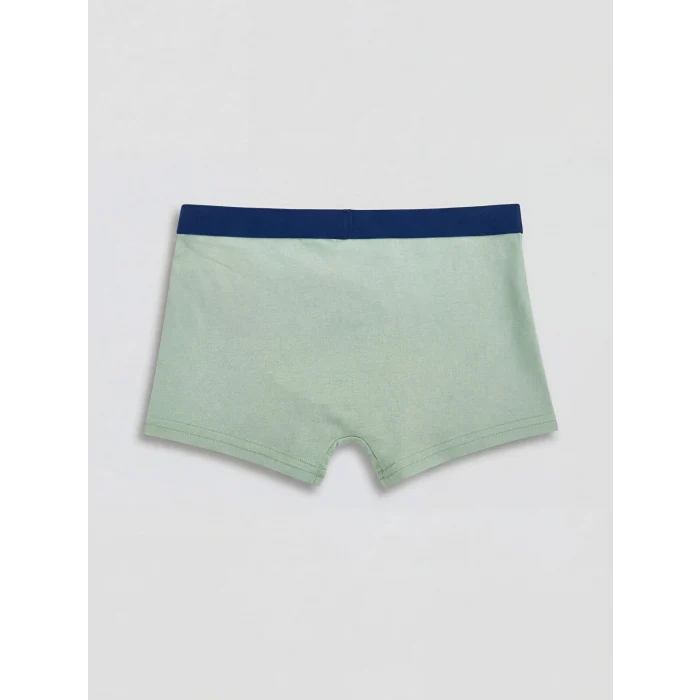 LCW Kids Yeşil Erkek Çocuk Boxer 3lü