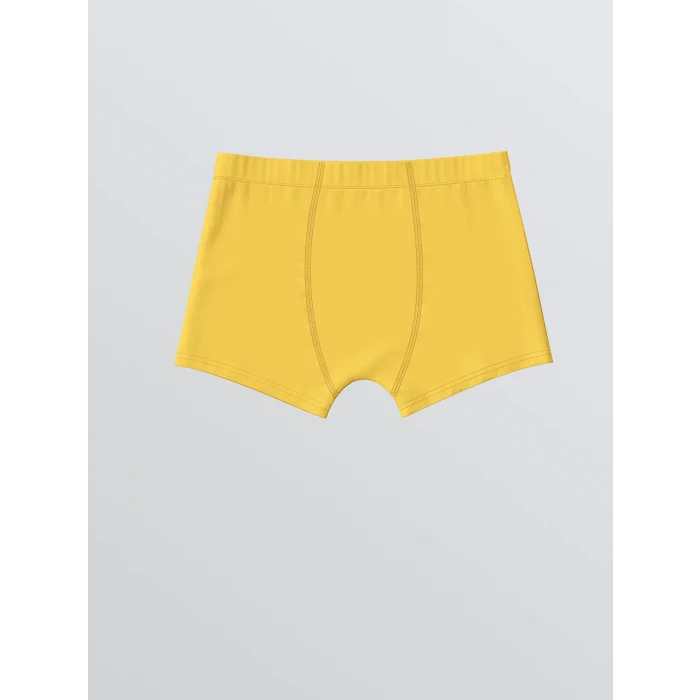 LCW Kids Lacivert Baskılı Erkek Çocuk Boxer 3lü