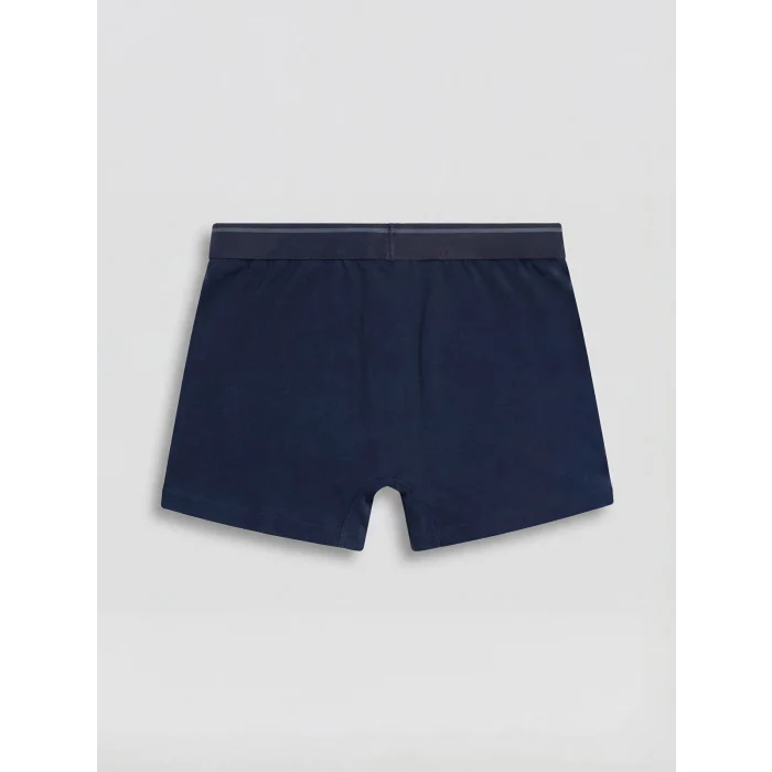 LC WAIKIKI Lacivert Pamuklu Esnek Erkek Boxer 3lü