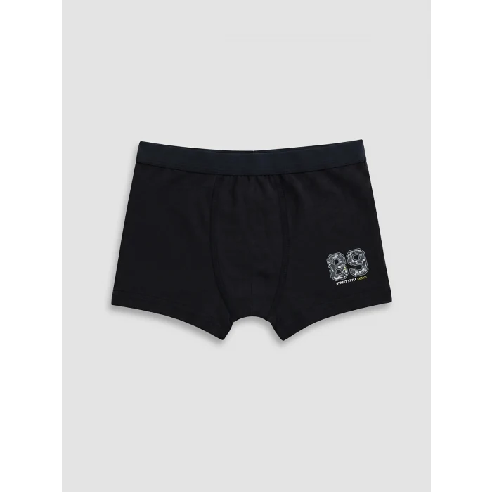 LCW Kids Gri Erkek Çocuk 3lü Boxer