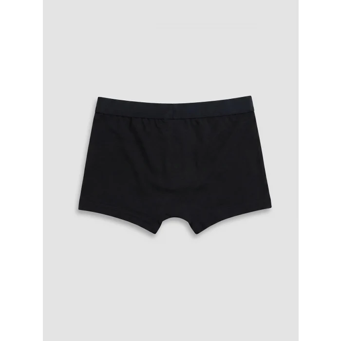 LCW Kids Gri Erkek Çocuk 3lü Boxer