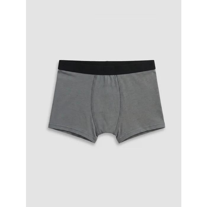 LCW Kids Gri Erkek Çocuk 3lü Boxer