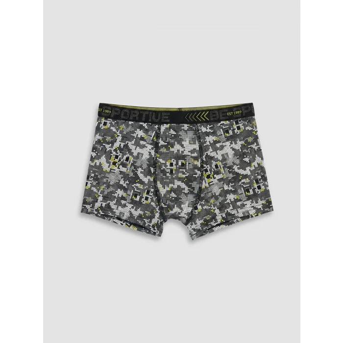LCW Kids Gri Erkek Çocuk 3lü Boxer