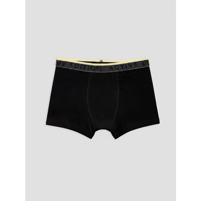 LCW Kids Gri Erkek Çocuk Boxer 3lü