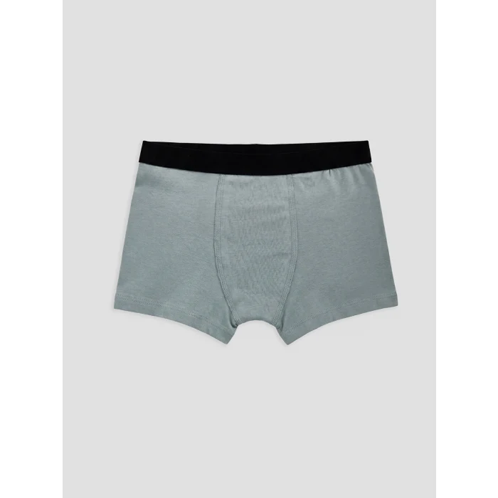 LCW Kids Gri Erkek Çocuk Boxer 3lü