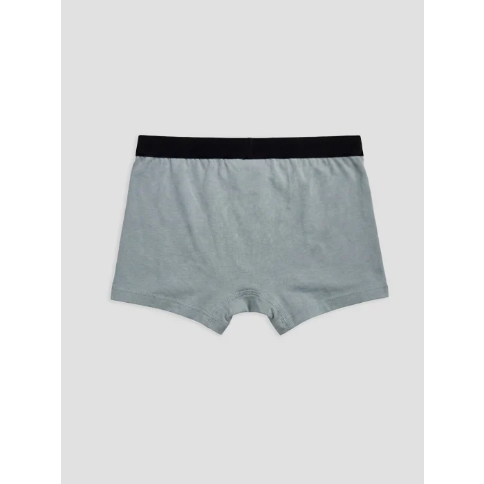 LCW Kids Gri Erkek Çocuk Boxer 3lü