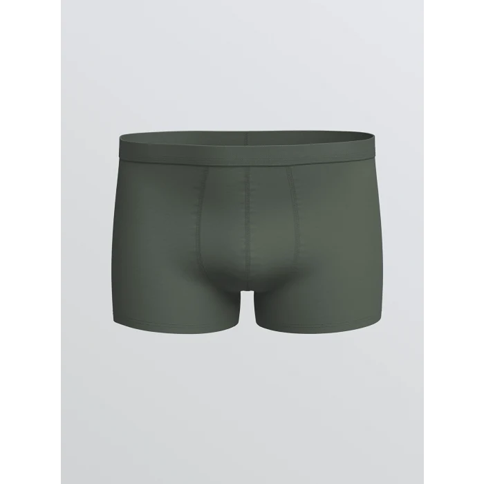LC WAIKIKI Yeşil Standart Kalıp Pamuklu Esnek Erkek Boxer 3lü