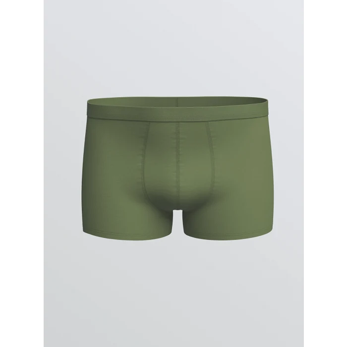 LC WAIKIKI Yeşil Standart Kalıp Pamuklu Esnek Erkek Boxer 3lü
