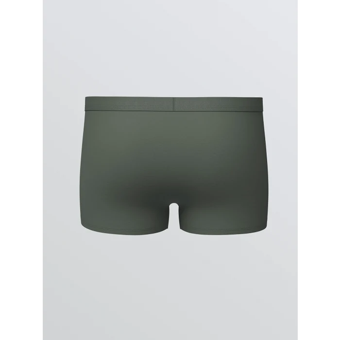 LC WAIKIKI Yeşil Standart Kalıp Pamuklu Esnek Erkek Boxer 3lü