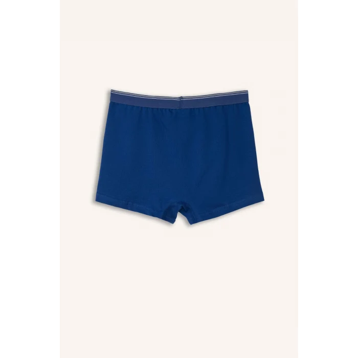 Defacto E1579A8BE331 Mavi 3lü Boxer Set Erkek Çocuk