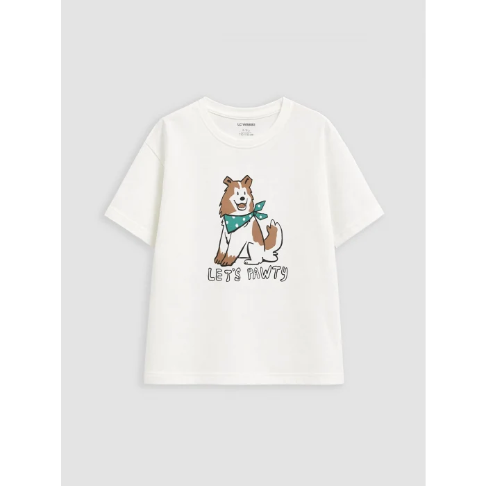 LCW Kids Beyaz Baskılı Erkek Çocuk Tişört 2li