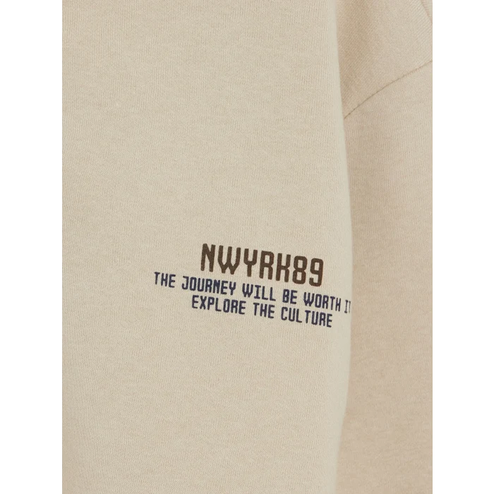 LCW Kids Bej Dik Yaka Erkek Çocuk Sweatshirt
