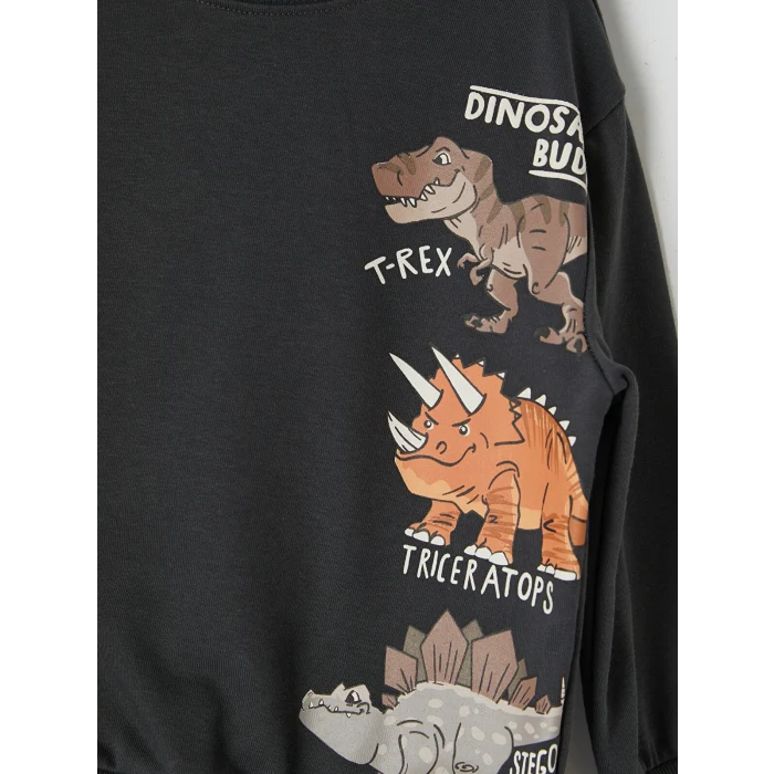 LCW Kids Antrasit Dinozor Baskılı Erkek Çocuk Takım