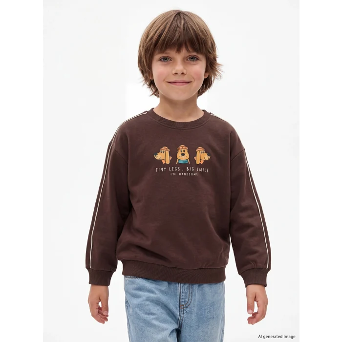 LCW baby Kahverengi Baskılı Erkek Çocuk Kalın Sweatshirt