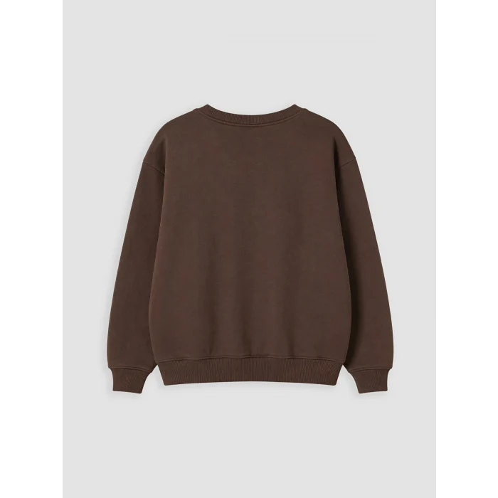 LCW baby Kahverengi Baskılı Erkek Çocuk Kalın Sweatshirt