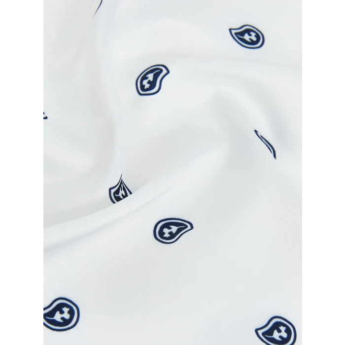 LCW ACCESSORIES Mavi Desenli Kadın Bandana