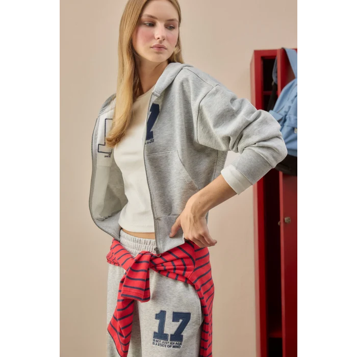 Defacto H4218AXGR110 Gri Fıtted Kapüşonlu Kalın Kumaş Fermuarlı İşlemeli Sweatshirt Hırka