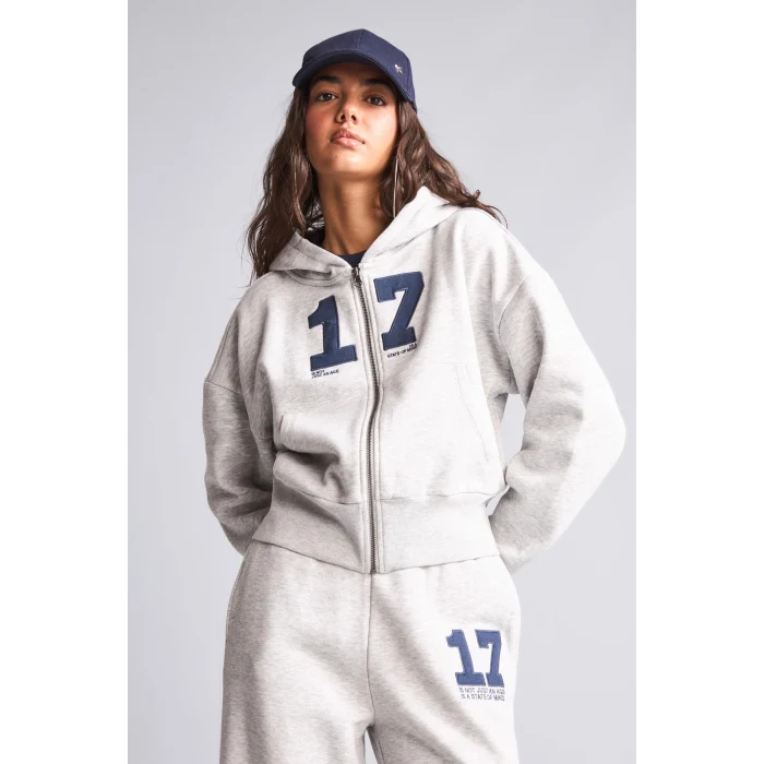 Defacto H4218AXGR110 Gri Fıtted Kapüşonlu Kalın Kumaş Fermuarlı İşlemeli Sweatshirt Hırka