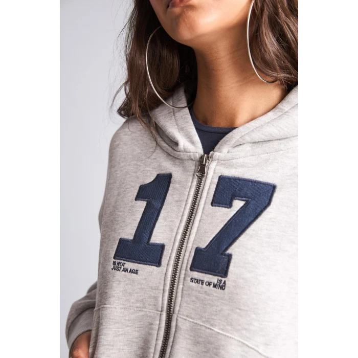 Defacto H4218AXGR110 Gri Fıtted Kapüşonlu Kalın Kumaş Fermuarlı İşlemeli Sweatshirt Hırka