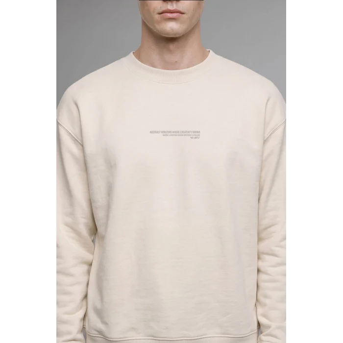 Defacto X8282AZBG672 Bej Boxy Fit Uzun Kollu Pamuklu Bisiklet Yaka İçi Yumuşak Tüylü Baskılı Sweatshirt
