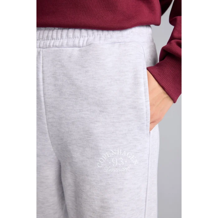 Defacto I3314AXGR93 Gri Beli Lastikli Straight Fit Kalın Kumaş Pantolon