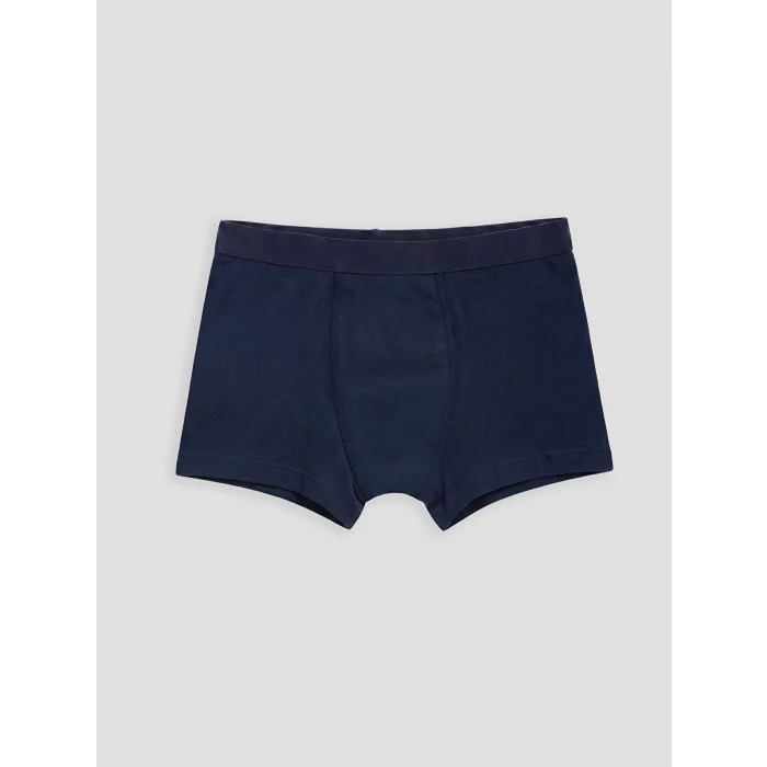 LCW Kids Lacivert Erkek Çocuk 3lü Boxer