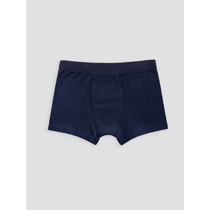 LCW Kids Lacivert Erkek Çocuk 3lü Boxer