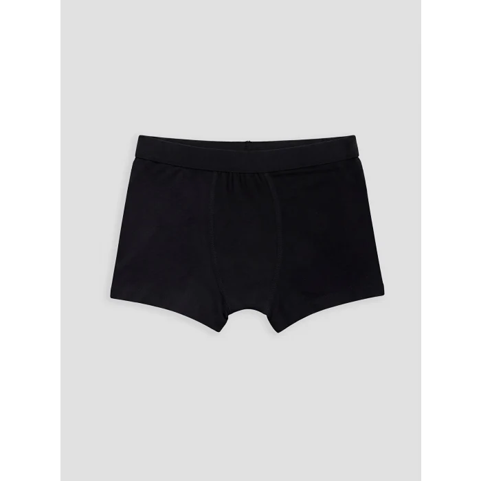 LCW Kids Lacivert Erkek Çocuk 3lü Boxer