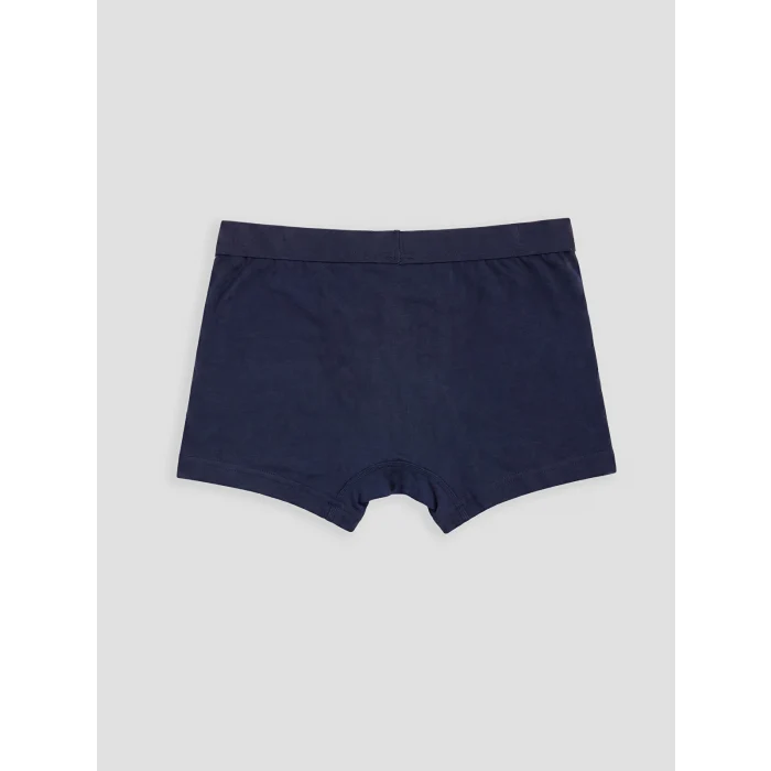 LCW Kids Lacivert Erkek Çocuk 3lü Boxer