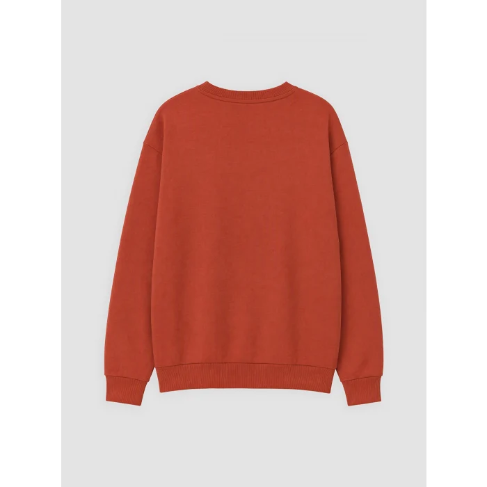 LCW Kids Kahverengi Bisiklet Yaka Sydney Baskılı Erkek Çocuk Sweatshirt