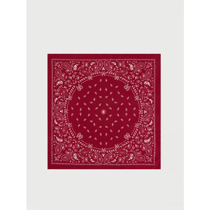 LCW ACCESSORIES Bordo Desenli Kadın Bandana 2li