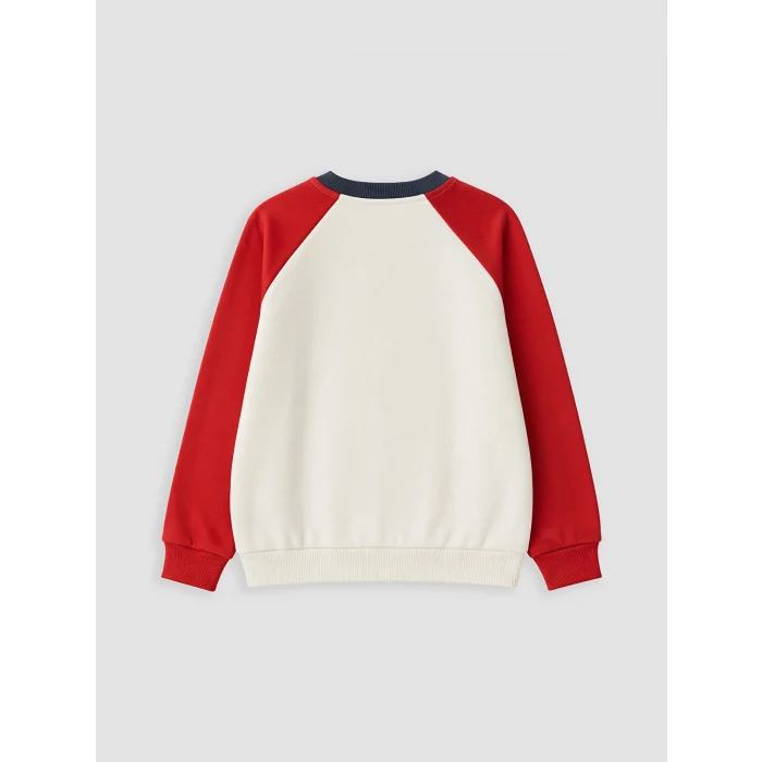 LCW Kids Bej Bisiklet Yaka Renk Bloğu Erkek Çocuk Kalın Sweatshirt